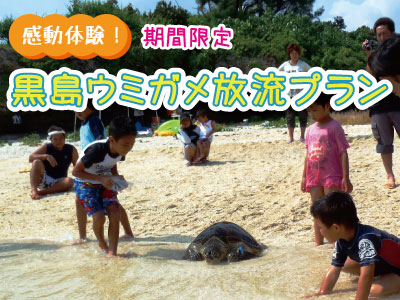 黒島ウミガメアイキャッチ
