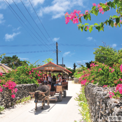 NEW_竹富島水牛車⑤