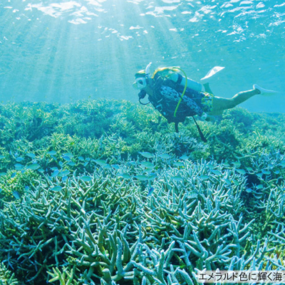 NEW_体験ダイビング⑦