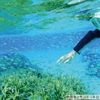 NEW_シュノーケリング③