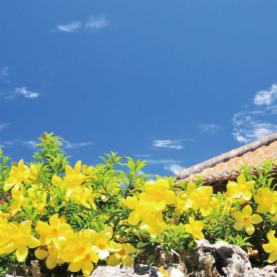 NEW_竹富島集落④