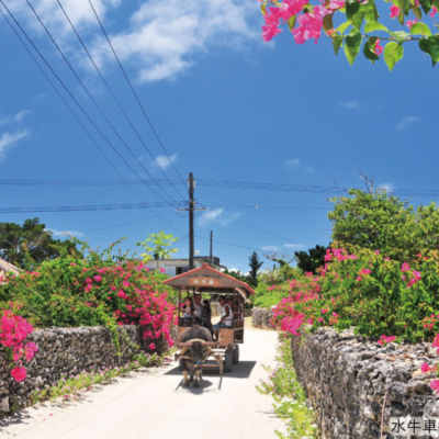 NEW_竹富島水牛車⑦