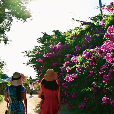 NEW_竹富島集落①