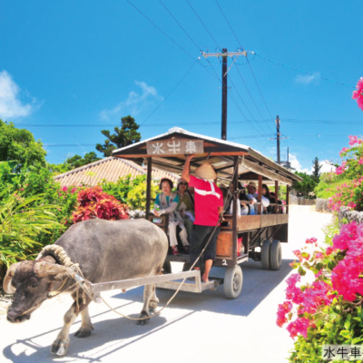 NEW_竹富島水牛車③