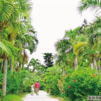 NEW_由布島園内⑤