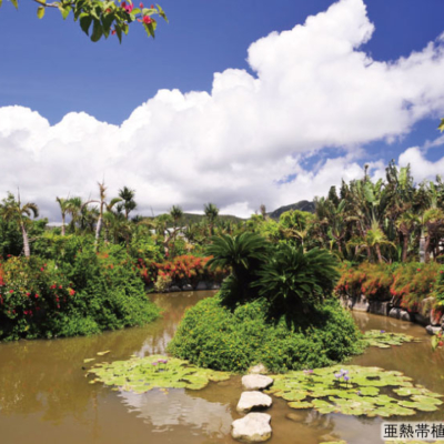 NEW_由布島園内②