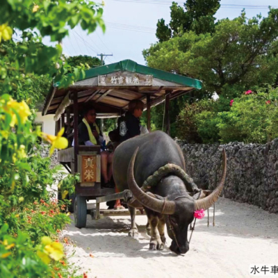 NEW_2024竹富島水牛車