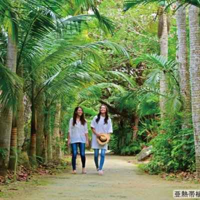 NEW_由布島2025 (6)