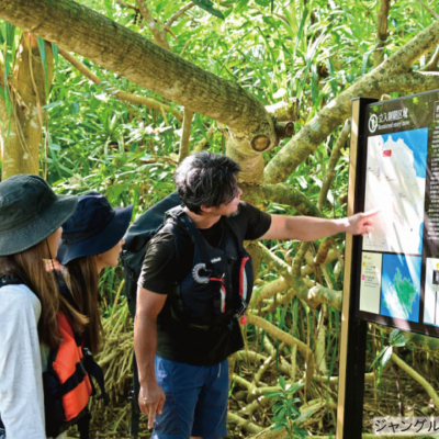 ジャングル探検_0918_2
