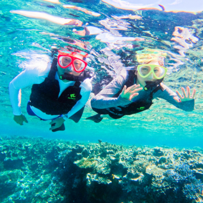 南バラスm-1 (4)-1