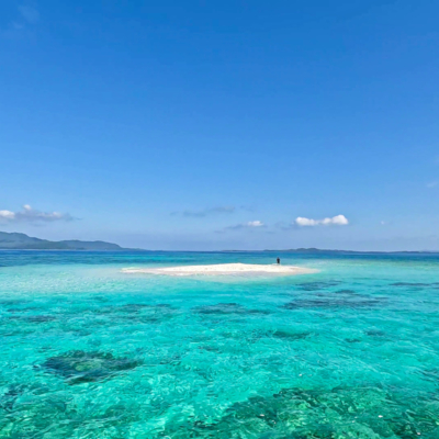 南バラスm-1 (8)-1